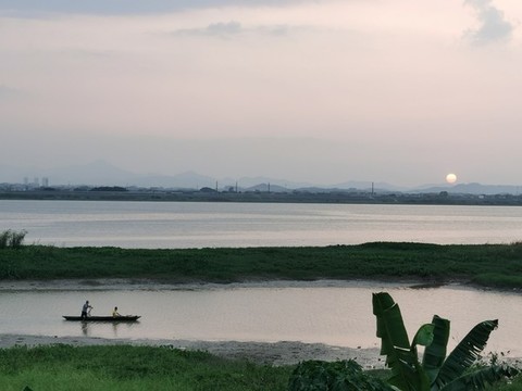 夕陽歸