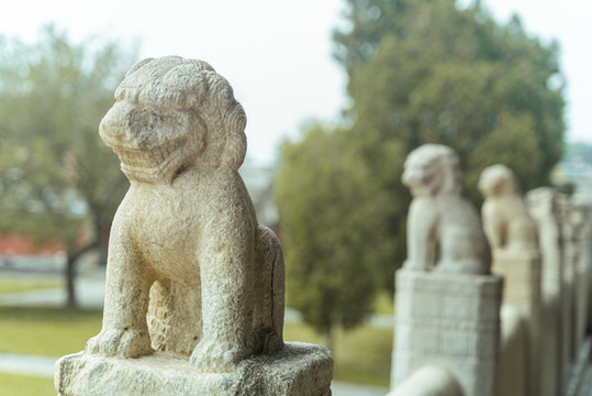 風(fēng)化嚴(yán)重的古代石獅子特寫