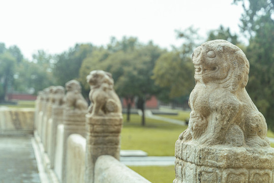 風(fēng)化嚴(yán)重的古代石獅子特寫