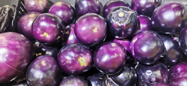 茄子