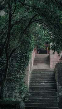 寧波保國(guó)寺