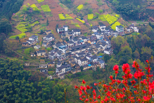 歙縣坡山村