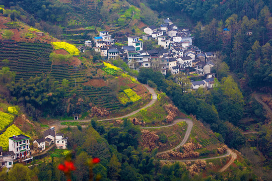 歙縣坡山村