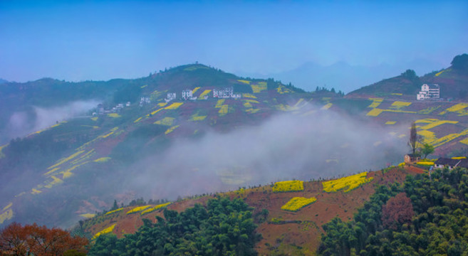 歙縣坡山村全景圖