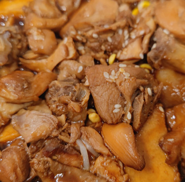 雞肉