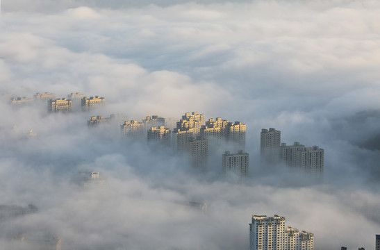 霧中城市
