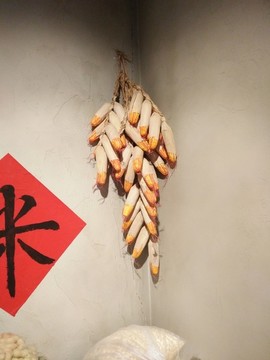玉米