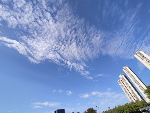城市小區(qū)