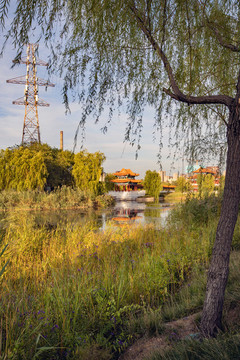 北京首鋼圓