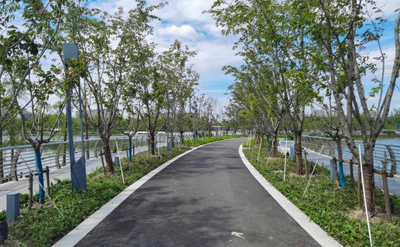 公園小道