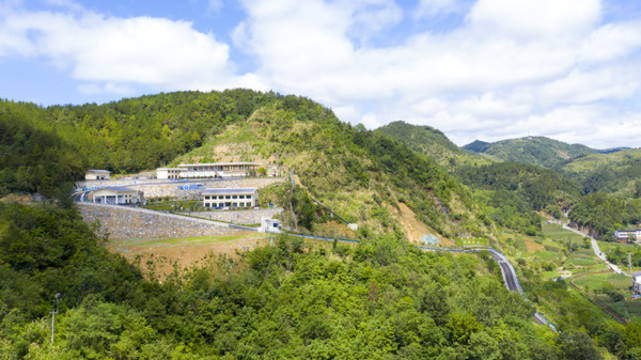 洛河茶場
