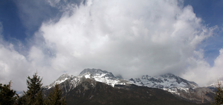 云南玉龍雪山云杉坪高原草坪