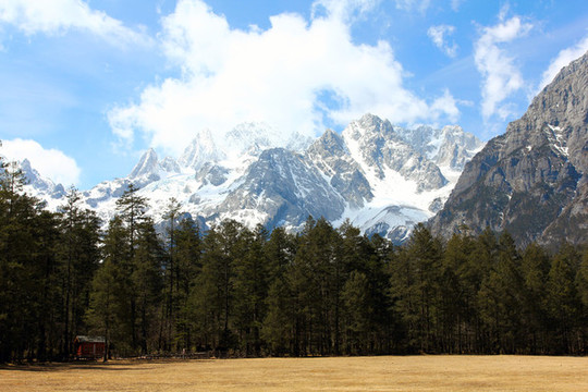 云南玉龍雪山牦牛坪風(fēng)景