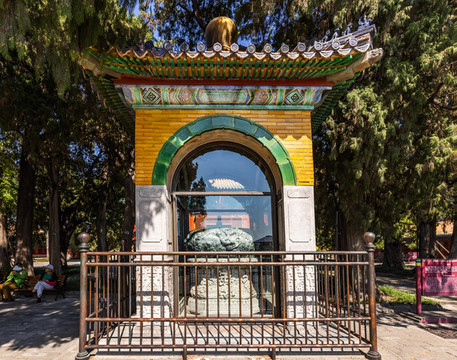 團(tuán)城玉翁