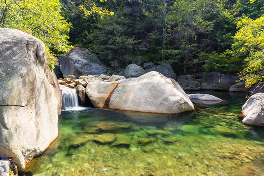 山體公園自然生態(tài)環(huán)境