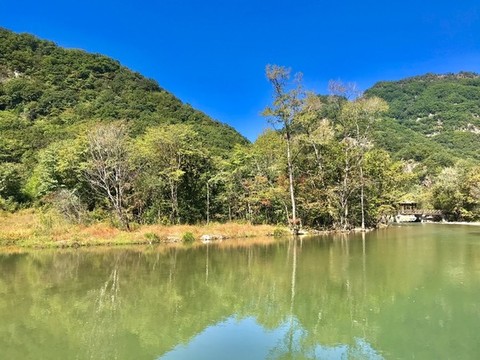 遠(yuǎn)岸初秋映水新