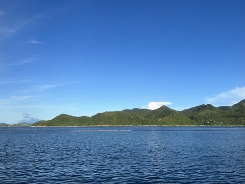 夏天的海
