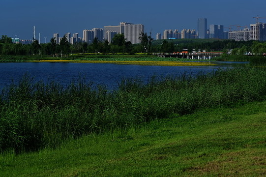 南溪濕地公園