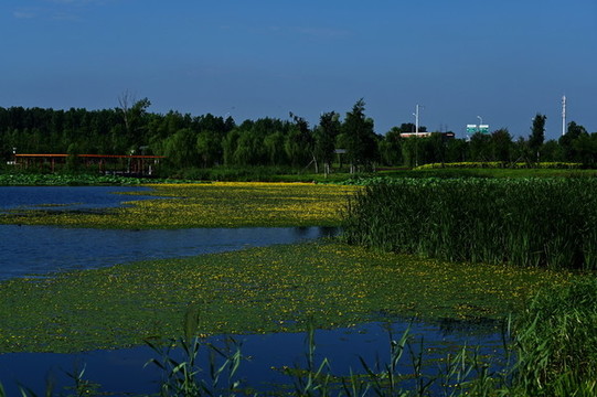 南溪濕地公園