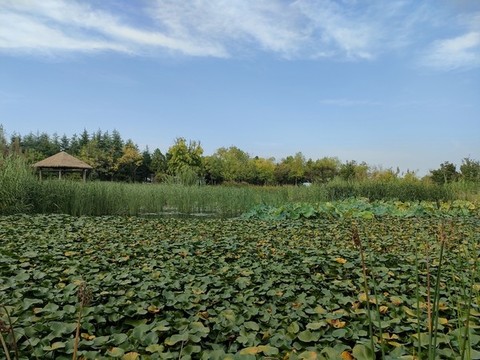 公園