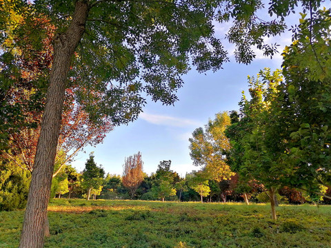公園美景