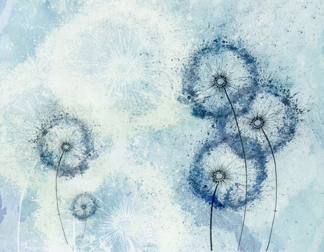 蒲公英3