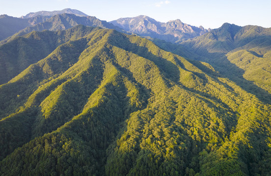 秦嶺山