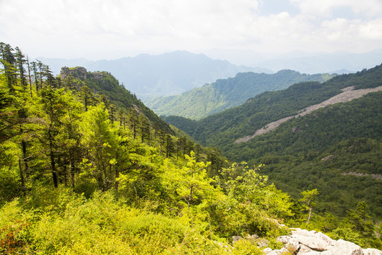 山脈