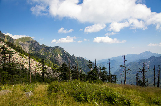 山巒