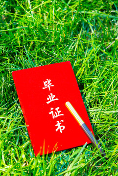 畢業(yè)季畢業(yè)證書夏季草地