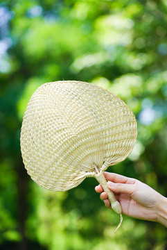 夏至夏季手拿扇子