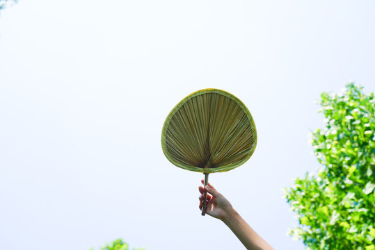夏至夏季手拿扇子