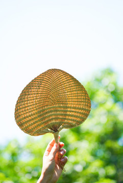 夏至夏季手拿扇子