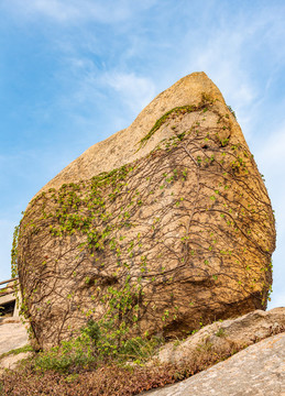 嵊泗小梅山景區(qū)