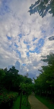 公園的藍(lán)天