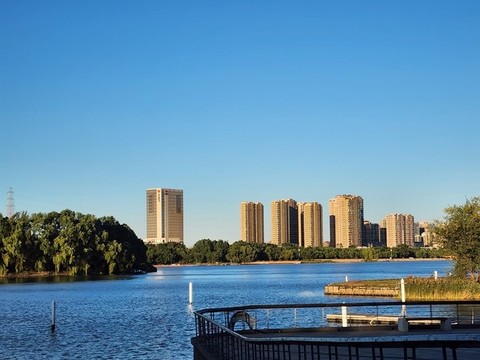 沈陽渾河岸邊的建筑和綠樹