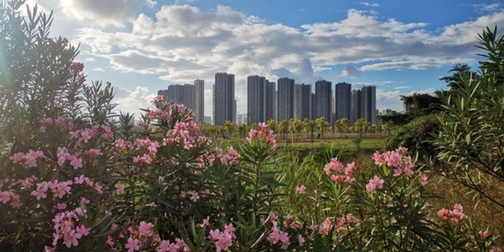 滿園春色碧桂園