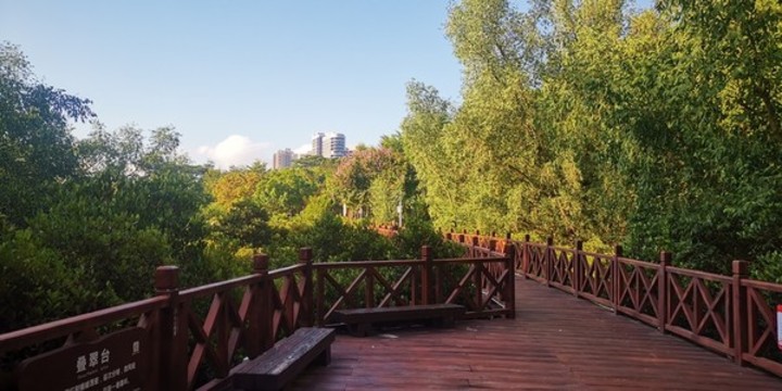 紅樹林公園棧道
