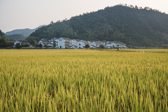 杭州桐廬美麗鄉(xiāng)村