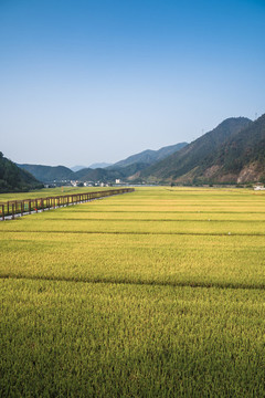 杭州桐廬美麗鄉(xiāng)村