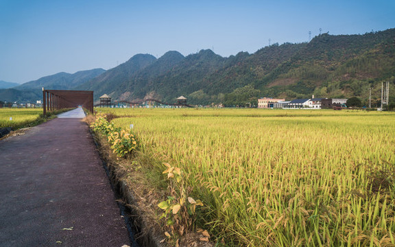 杭州桐廬美麗鄉(xiāng)村