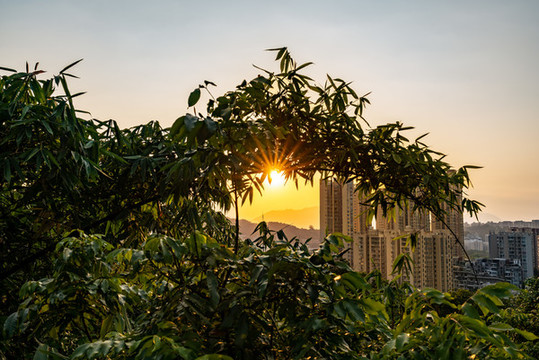 福道夕陽