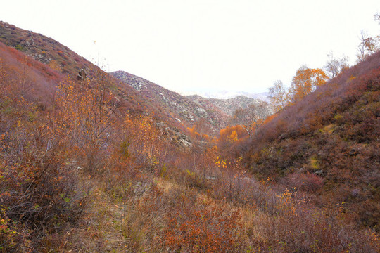 山溝