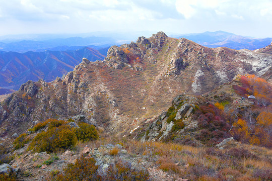 山頂