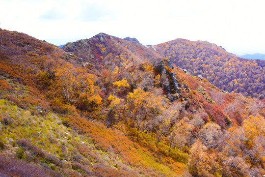 高山風(fēng)景