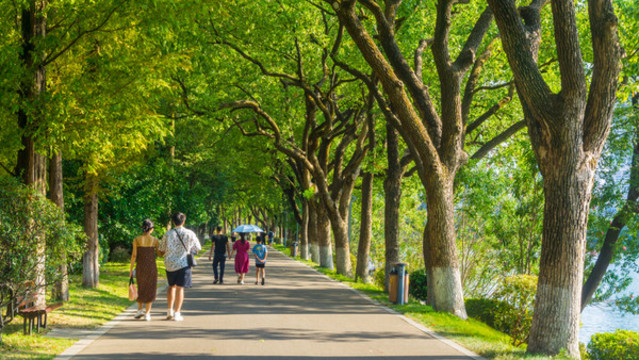 健康步道