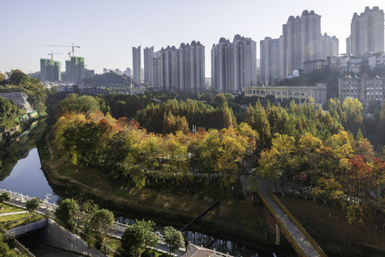 湖北宜昌市運(yùn)河濕地公園秋色