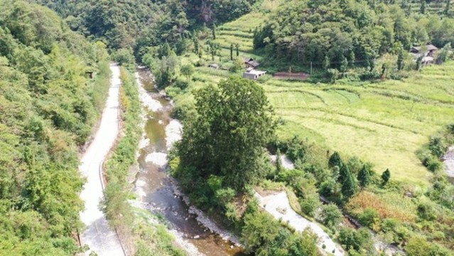 戈邊河大樹公路
