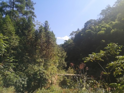 青山綠水