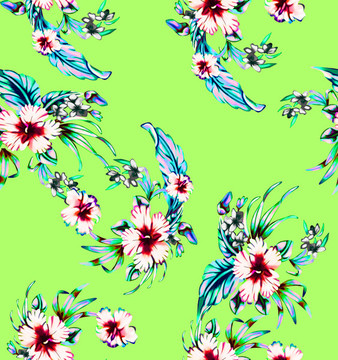 蝴蝶花